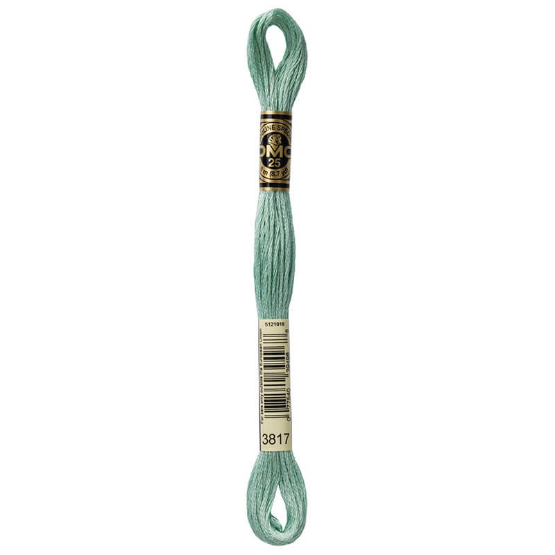 DMC Mouline Special Six-Strand Embroidery Floss 3817 yarn by YarnPark