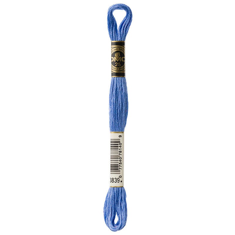 DMC Mouline Special Six-Strand Embroidery Floss 3839 yarn by YarnPark