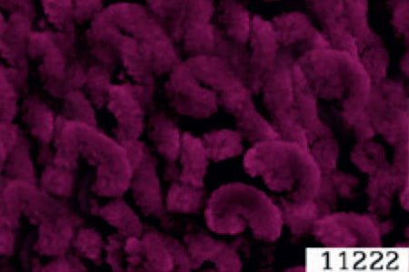 Himalaya Dolphin Loop 11222 yarn by YarnPark