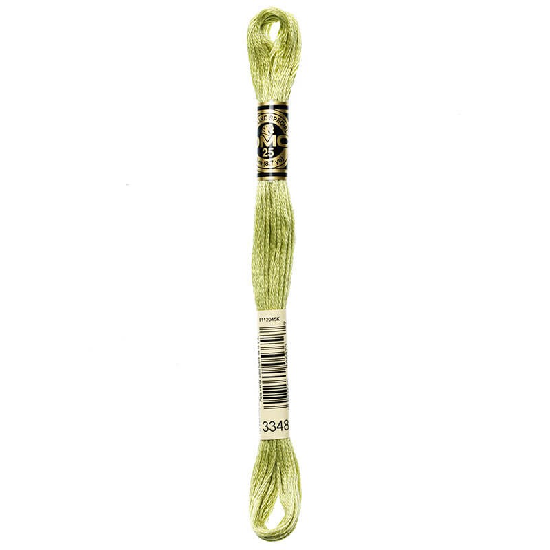 DMC Mouline Special Six-Strand Embroidery Floss 3348 yarn by YarnPark