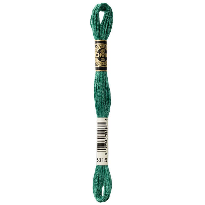 DMC Mouline Special Six-Strand Embroidery Floss 3815 yarn by YarnPark
