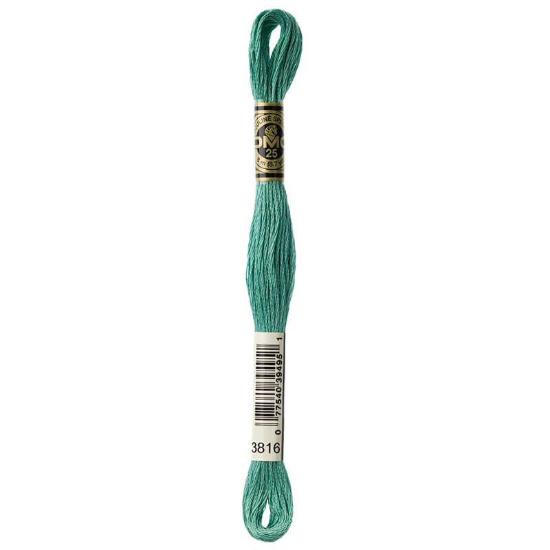 DMC Mouline Special Six-Strand Embroidery Floss 3816 yarn by YarnPark