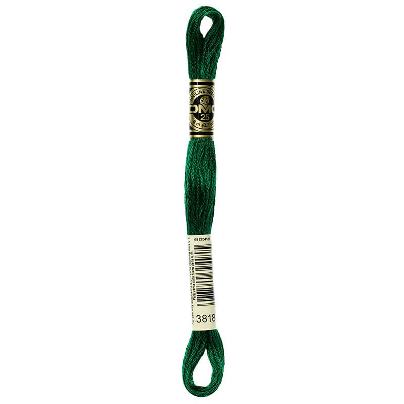 DMC Mouline Special Six-Strand Embroidery Floss 3818 yarn by YarnPark