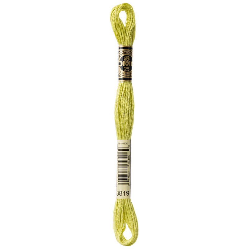 DMC Mouline Special Six-Strand Embroidery Floss 3819 yarn by YarnPark