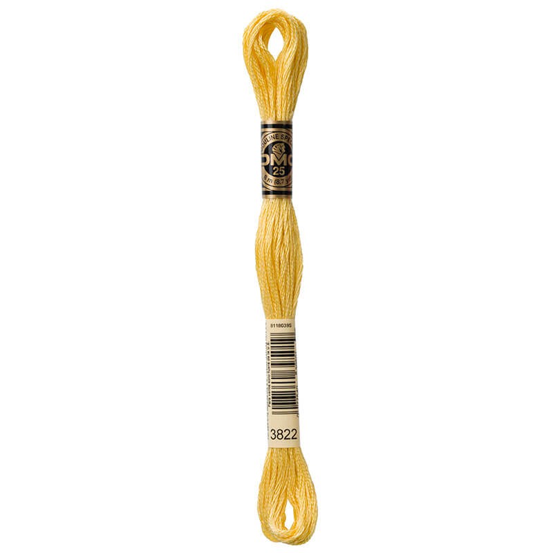 DMC Mouline Special Six-Strand Embroidery Floss 3822 yarn by YarnPark