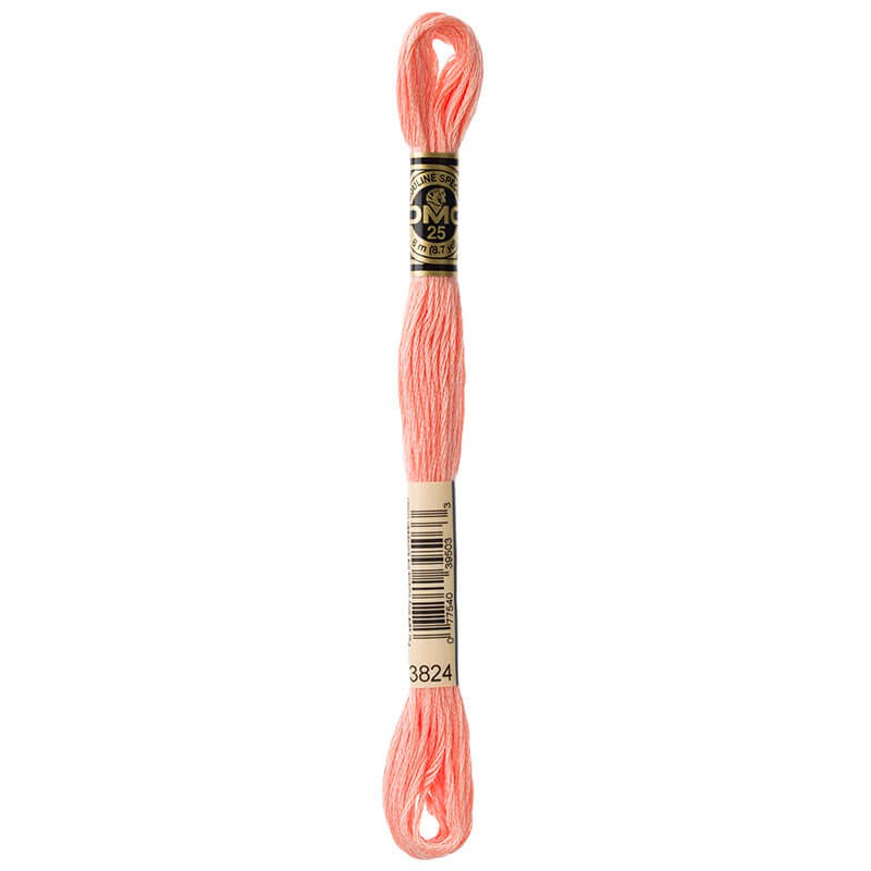 DMC Mouline Special Six-Strand Embroidery Floss 3824 yarn by YarnPark