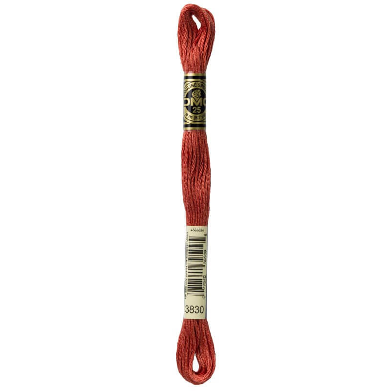 DMC Mouline Special Six-Strand Embroidery Floss 3830 yarn by YarnPark