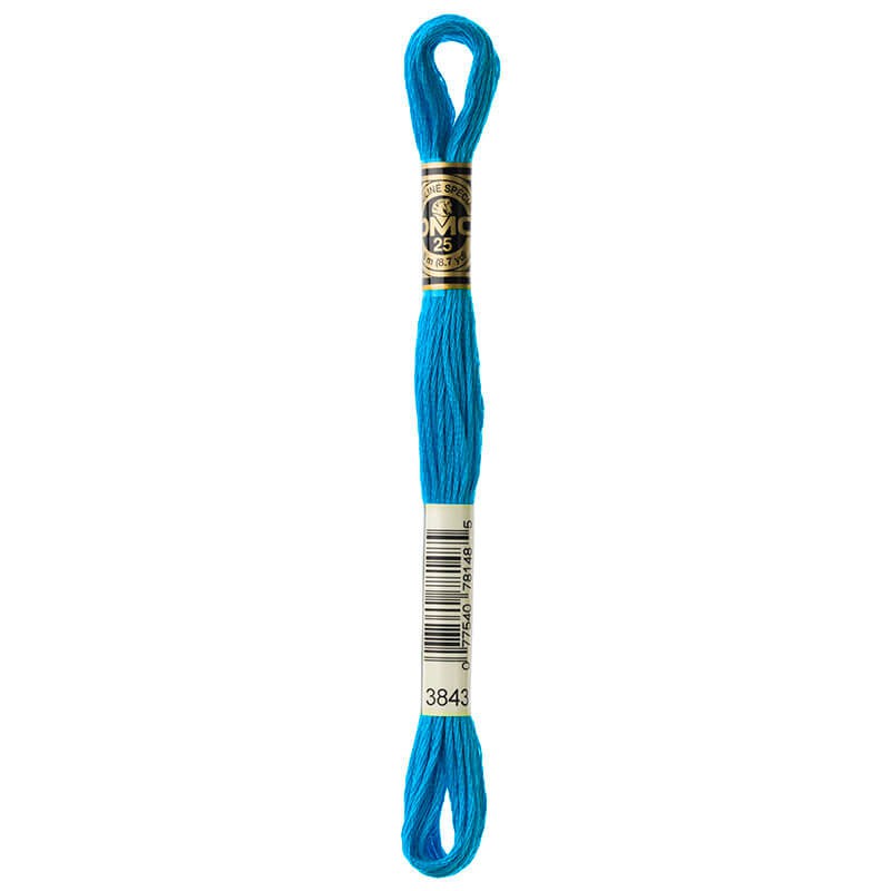 DMC Mouline Special Six-Strand Embroidery Floss 3843 yarn by YarnPark