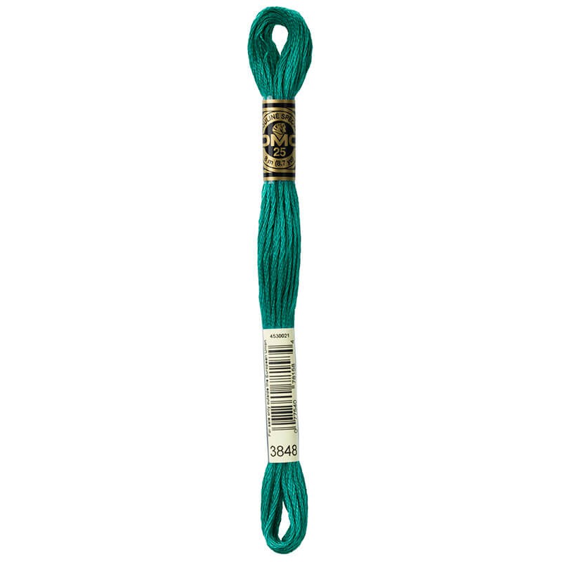 DMC Mouline Special Six-Strand Embroidery Floss 3848 yarn by YarnPark