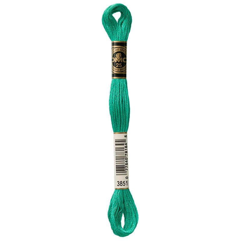 DMC Mouline Special Six-Strand Embroidery Floss 3851 yarn by YarnPark
