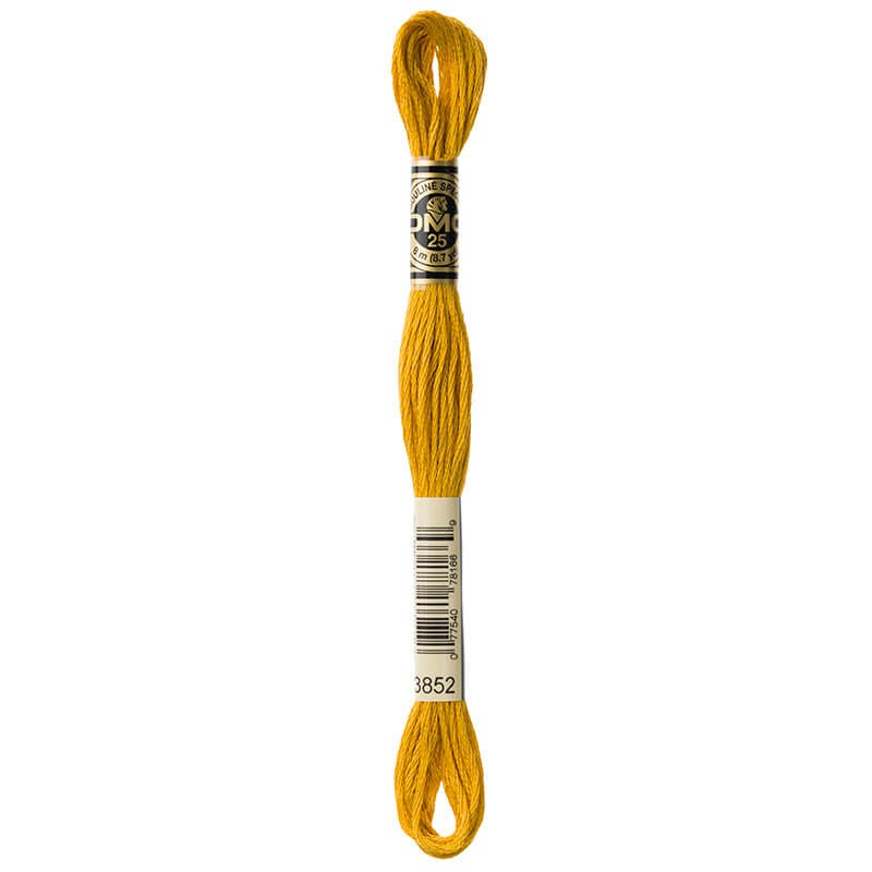 DMC Mouline Special Six-Strand Embroidery Floss 3852 yarn by YarnPark