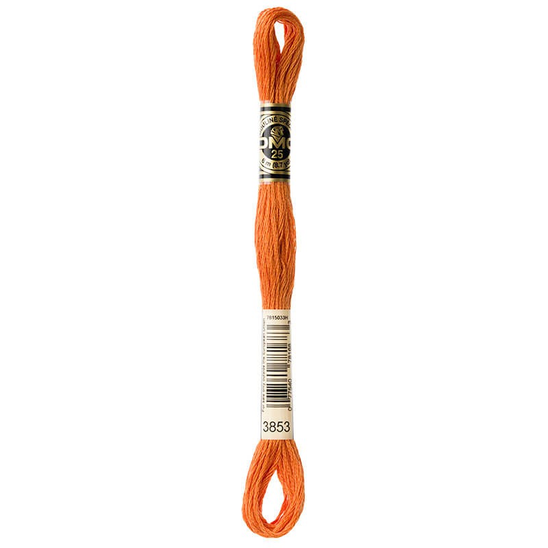 DMC Mouline Special Six-Strand Embroidery Floss 3853 yarn by YarnPark