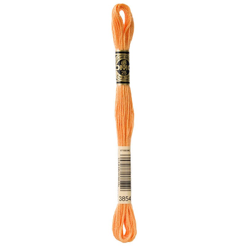 DMC Mouline Special Six-Strand Embroidery Floss 3854 yarn by YarnPark