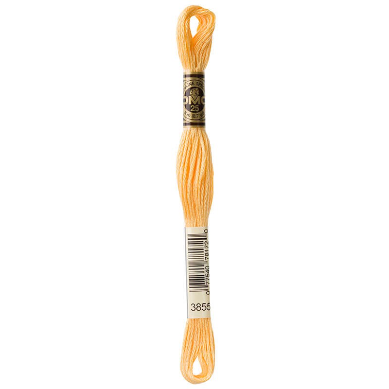 DMC Mouline Special Six-Strand Embroidery Floss 3855 yarn by YarnPark