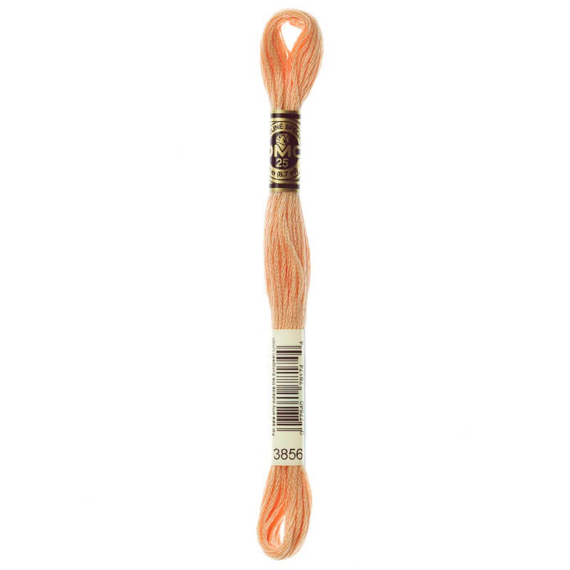 DMC Mouline Special Six-Strand Embroidery Floss 3856 yarn by YarnPark