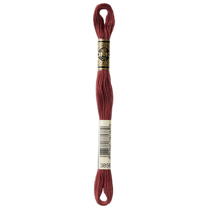 DMC Mouline Special Six-Strand Embroidery Floss 3858 yarn by YarnPark