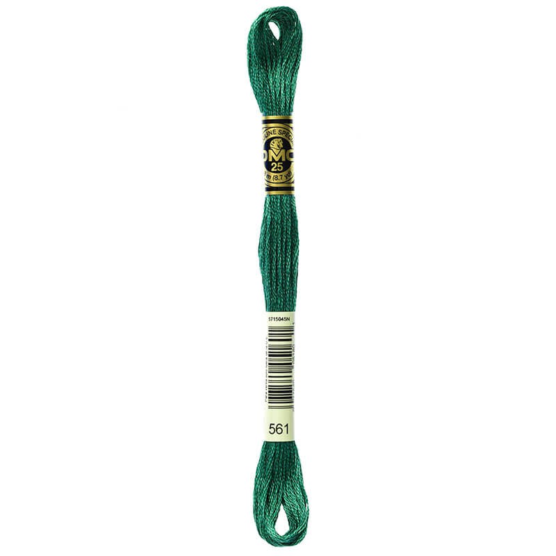 DMC Mouline Special Six-Strand Embroidery Floss 561 yarn by YarnPark