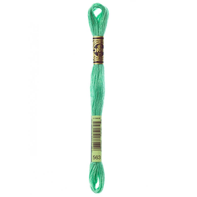 DMC Mouline Special Six-Strand Embroidery Floss 563 yarn by YarnPark