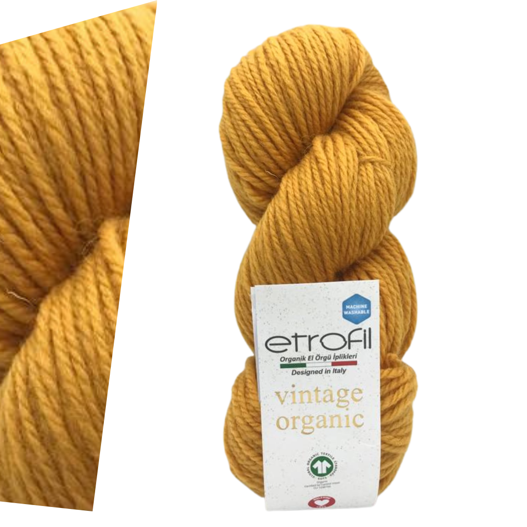 Etrofil Vintage Organic 72131 yarn by YarnPark