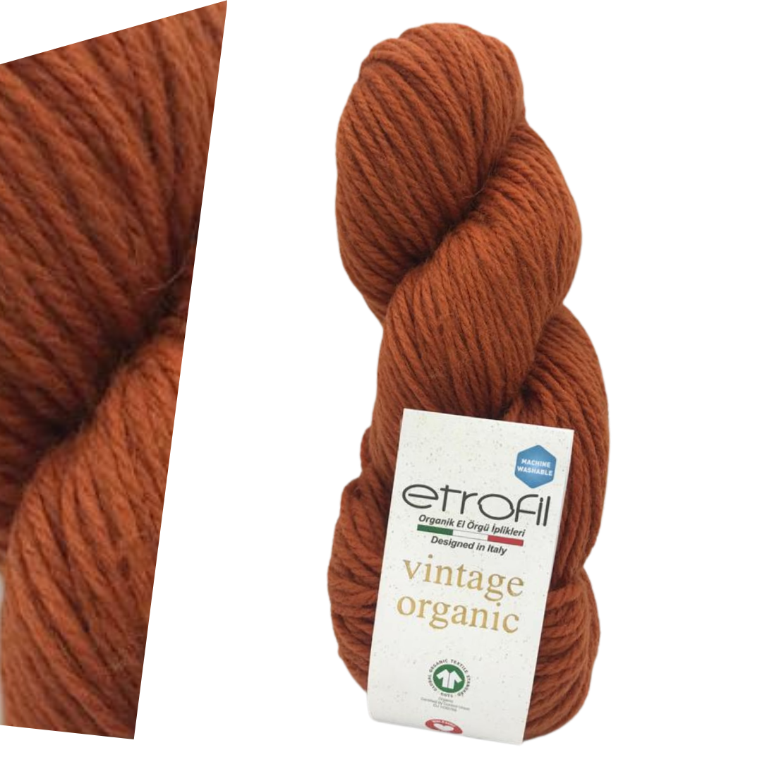 Etrofil Vintage Organic 72132 yarn by YarnPark
