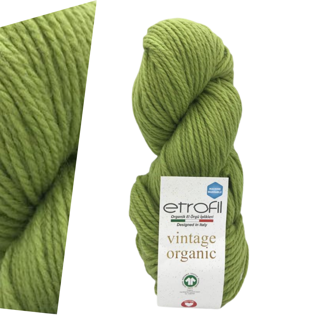 Etrofil Vintage Organic 74182 yarn by YarnPark