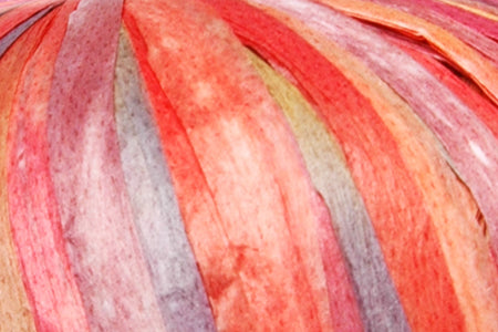 Fibra Natura Raffia Multi 117-01 yarn by YarnPark