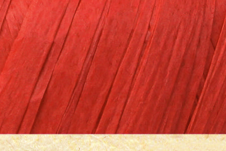 Fibra Natura Raffia 116-26 yarn by YarnPark