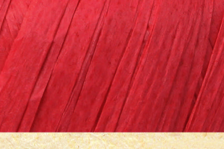 Fibra Natura Raffia 116-27 yarn by YarnPark